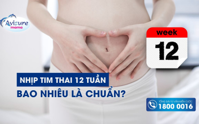 Nhịp tim thai 12 tuần bao nhiêu là chuẩn? Dự đoán giới tính được không?